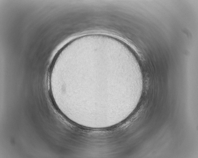 X0000114171510200911191236