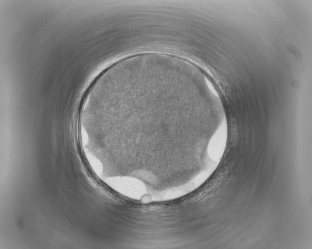 X0000114171515200911191236