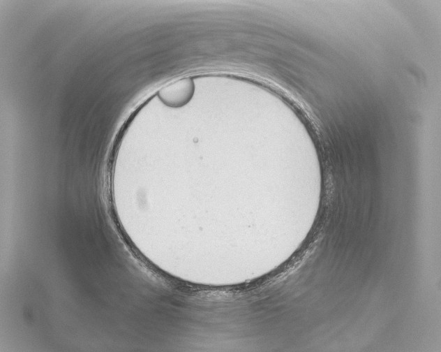 X0000114171517200911191236