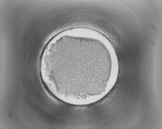 X0000114171519200911191236