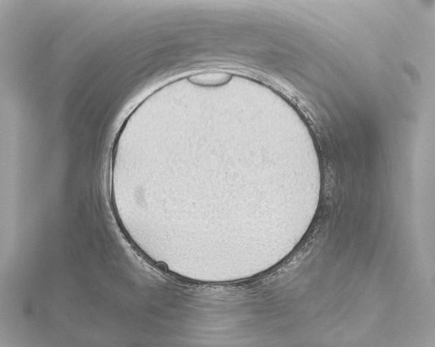 X0000114171520200911191236