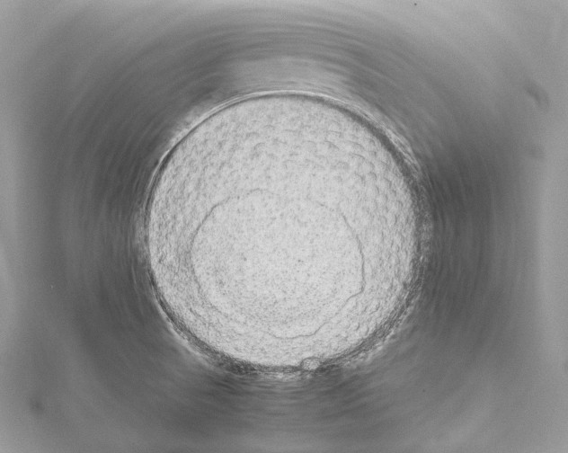 X0000114171521200911191236