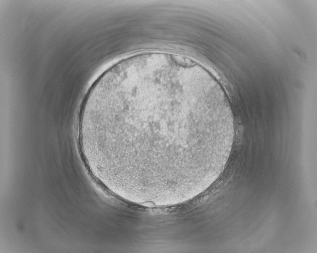 X0000114171523200911191236