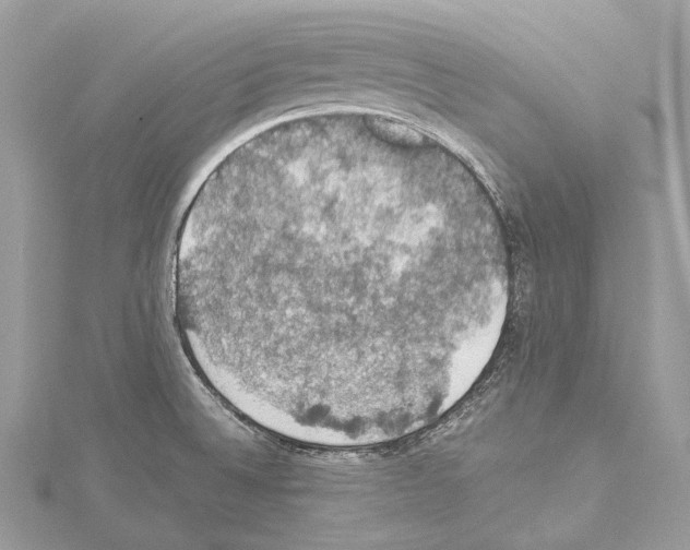 X0000114171524200911191236