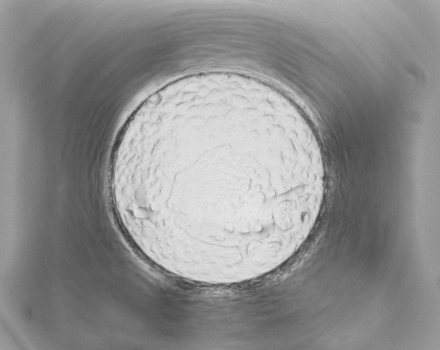 X0000114171525200911191236