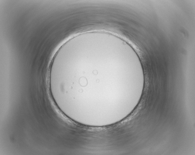 X0000114171526200911191236