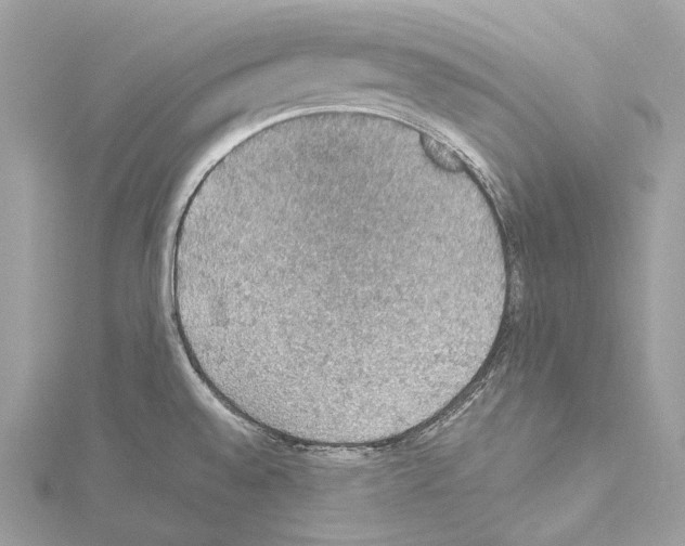 X0000114171528200911191236