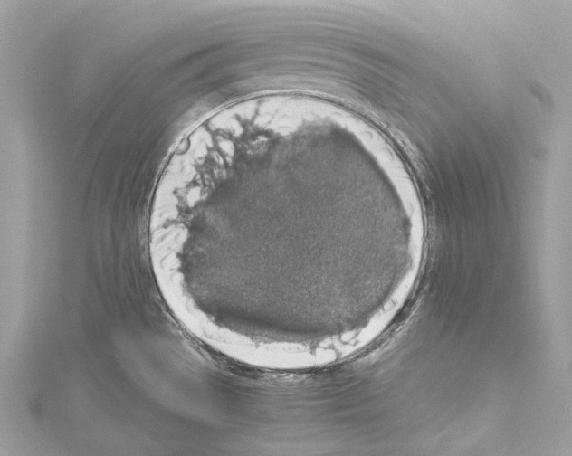 X0000114171529200911191236