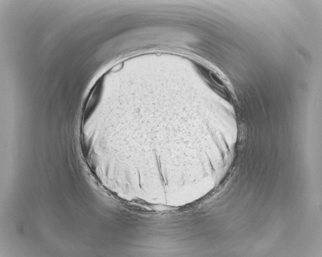 X0000114171530200911191236