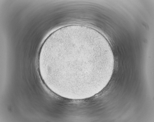 X0000114171531200911191236