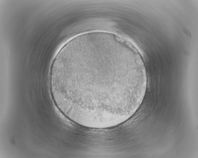 X0000114171532200911191236