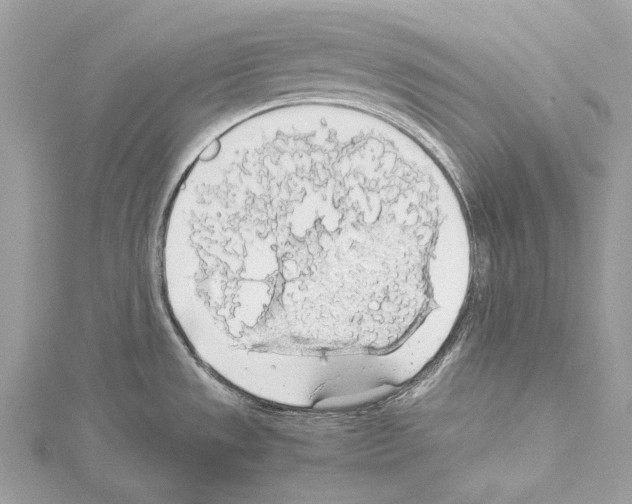 X0000114171533200911191236