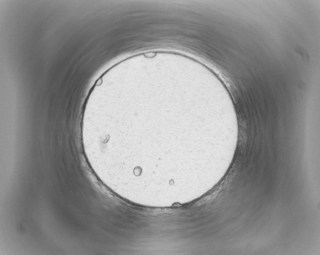 X0000114171534200911191236