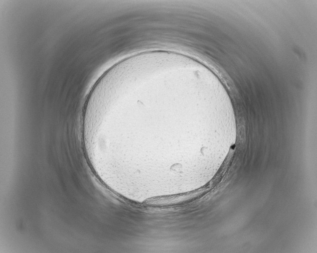 X0000114171535200911191236