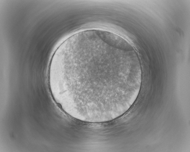 X0000114171536200911191236