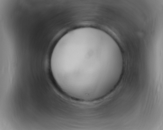 X0000114180016200910081142