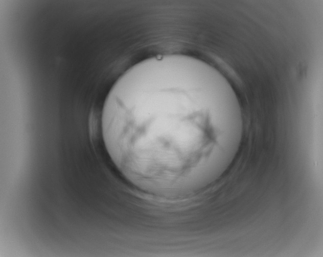 X0000114180026200910081142