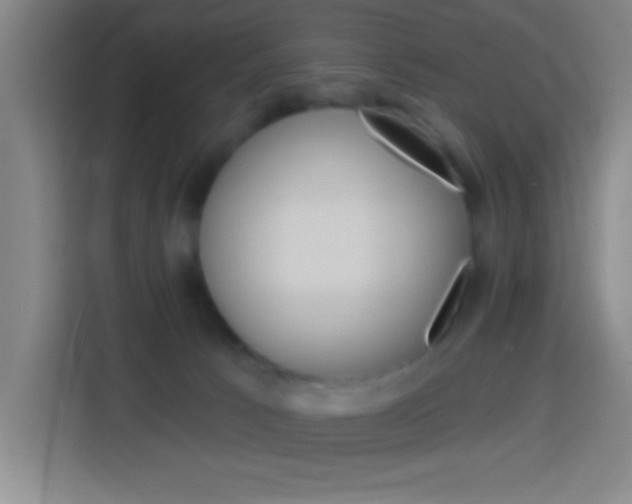 X0000114180033200910081142