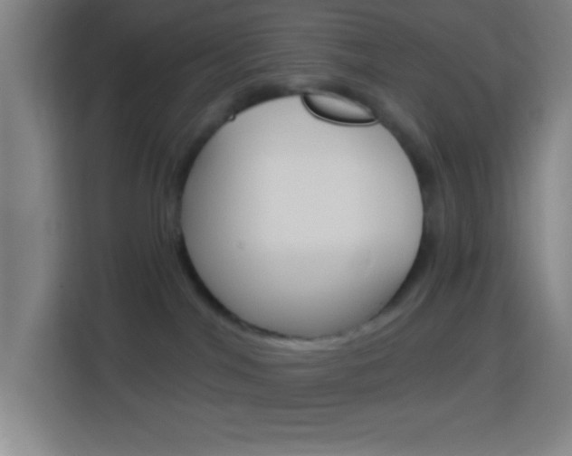 X0000114180044200910081142