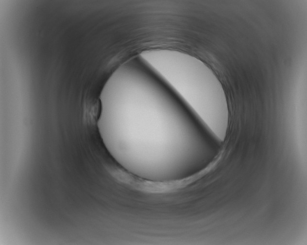 X0000114180045200910081142