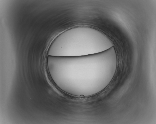 X0000114180049200910081141