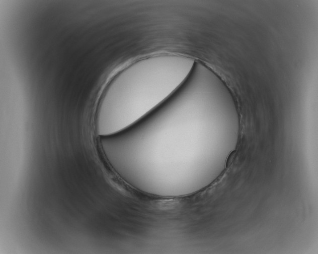 X0000114180050200910081141