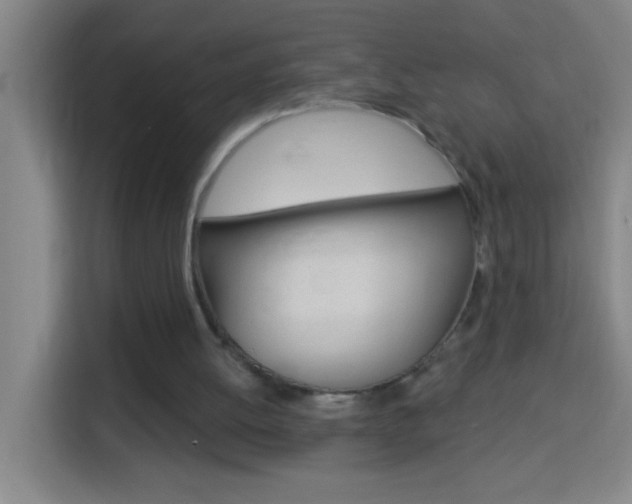 X0000114180052200910081141
