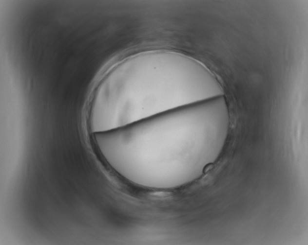 X0000114180053200910081141