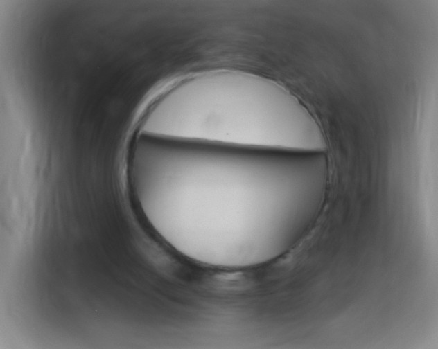 X0000114180054200910081141