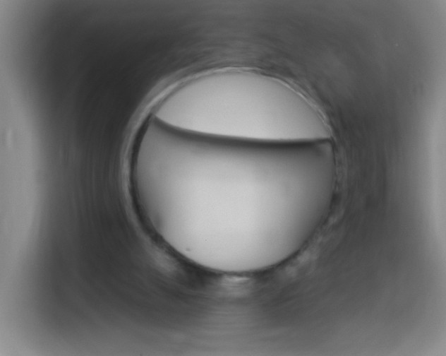 X0000114180055200910081141