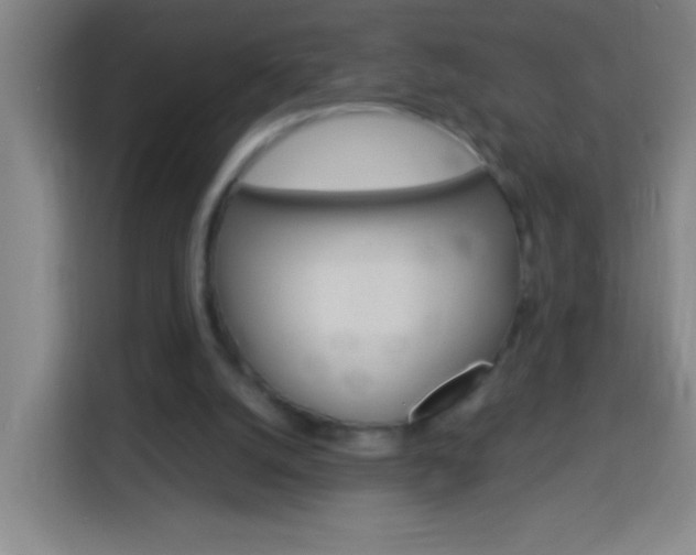 X0000114180056200910081141