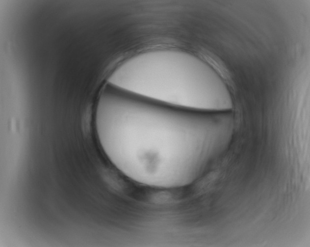 X0000114180058200910081141