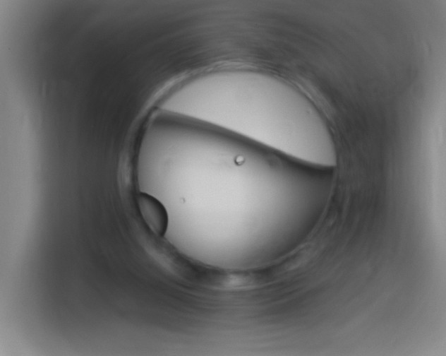 X0000114180060200910081142