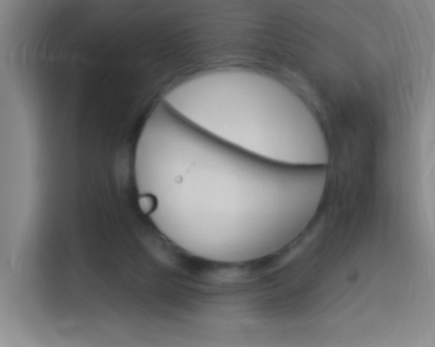 X0000114180065200910081142