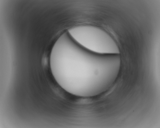 X0000114180067200910081142