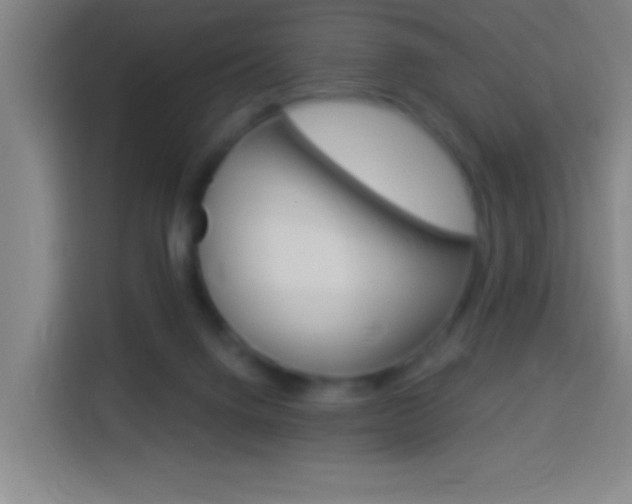 X0000114180072200910081142