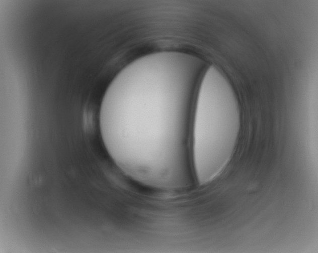 X0000114180074200910081142