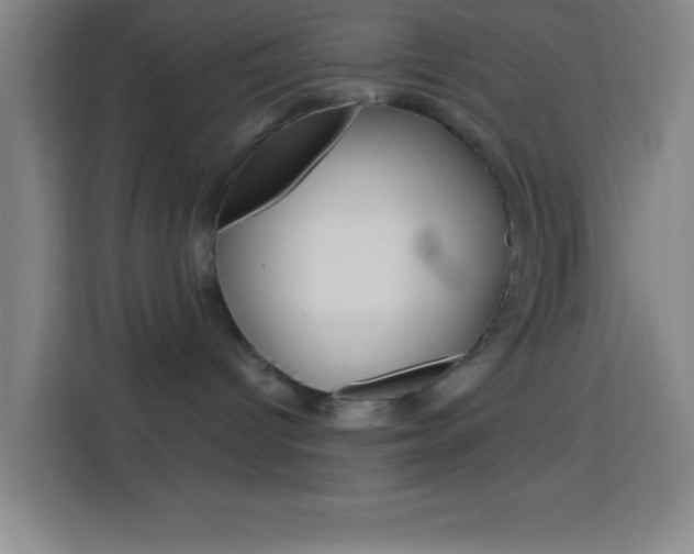 X0000114180096200910081142
