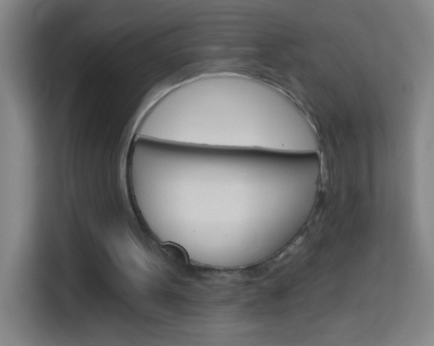 X0000114180099200910081141
