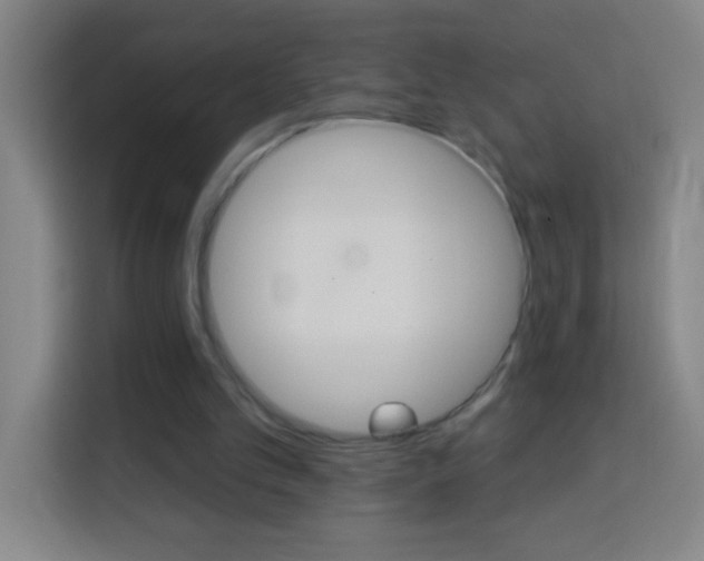 X0000114180101200910081141