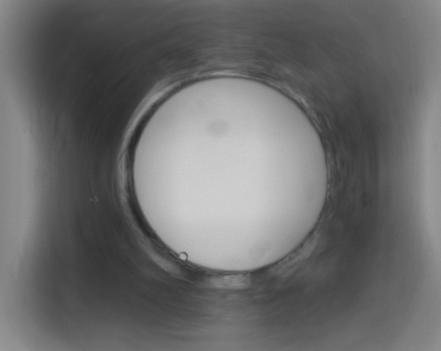 X0000114180102200910081141