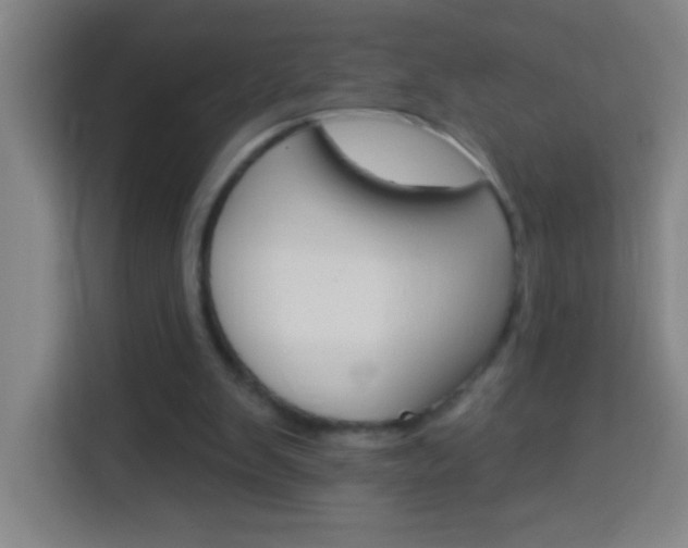 X0000114180103200910081141