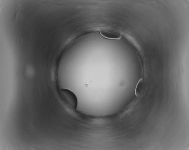X0000114180105200910081141