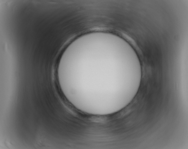X0000114180106200910081141