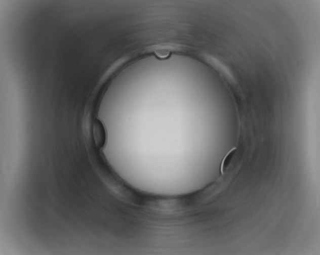 X0000114180108200910081141
