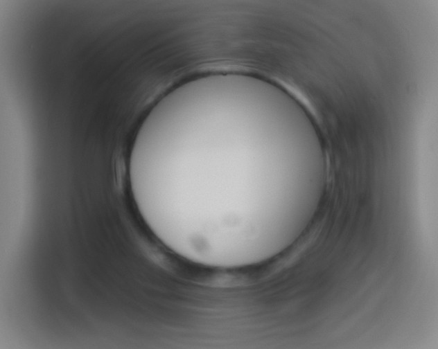 X0000114180109200910081141