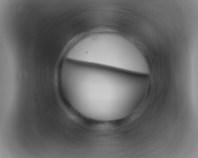 X0000114180112200910081141