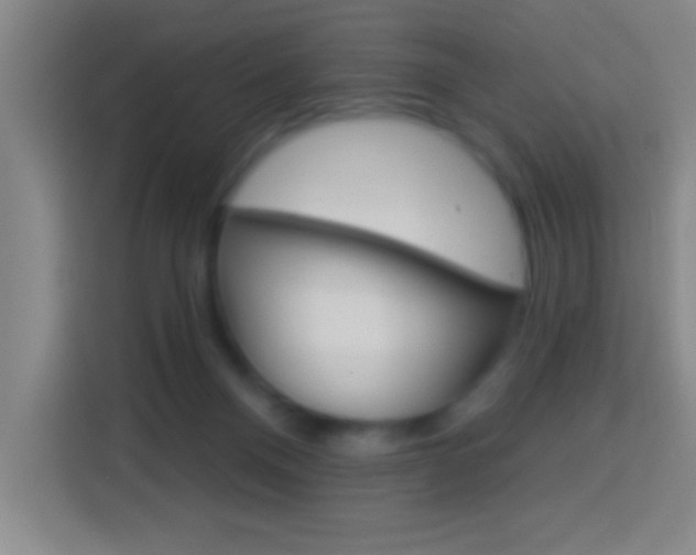 X0000114180120200910081141