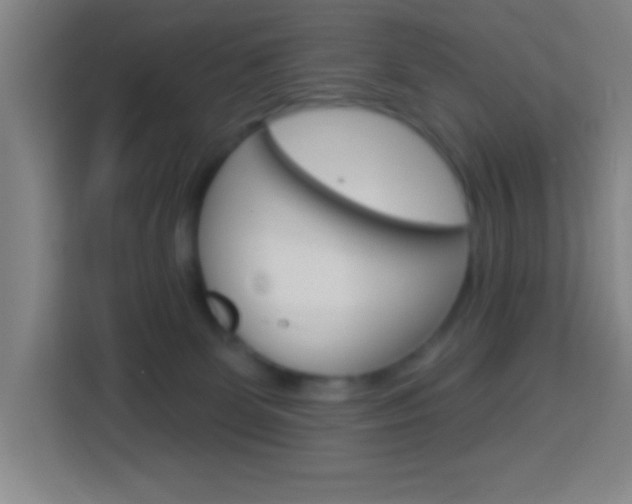 X0000114180131200910081141