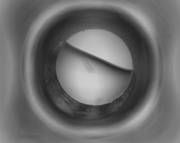 X0000114180143200910081141
